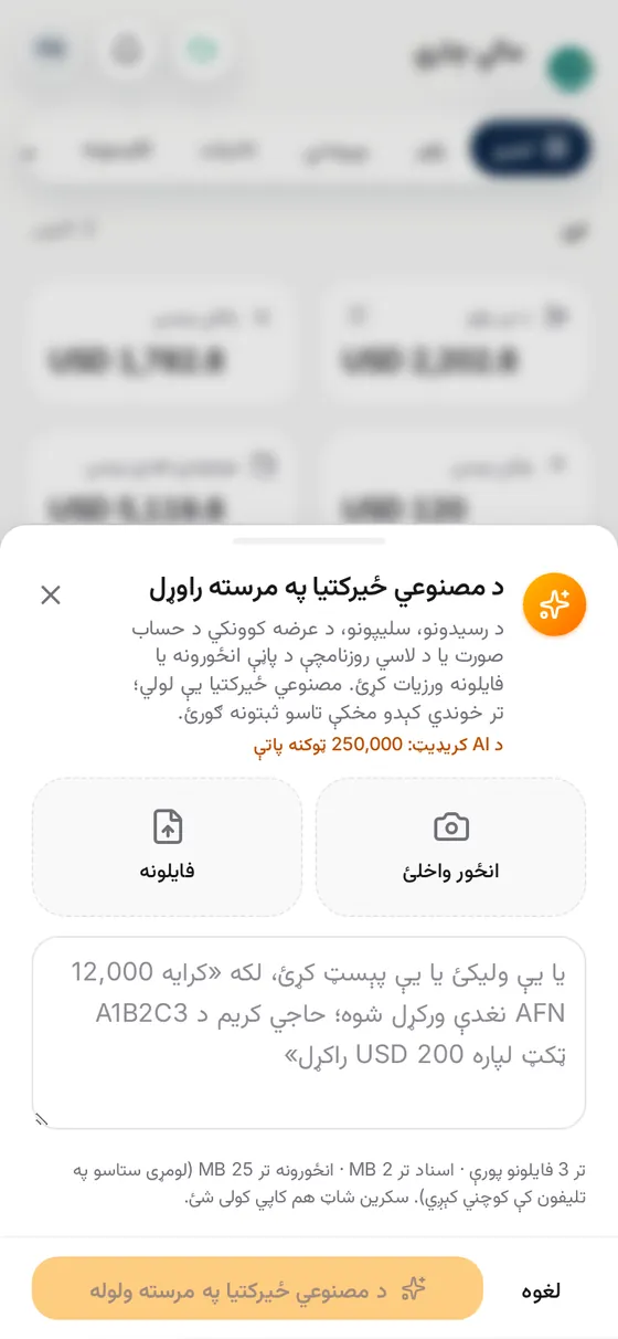 د حسابونو پاڼه د نن ورځې راغلو او تللو پیسو سره